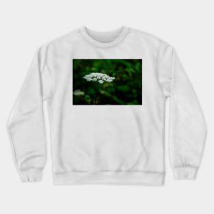 Queen Anne's Lace, White on Green Crewneck Sweatshirt